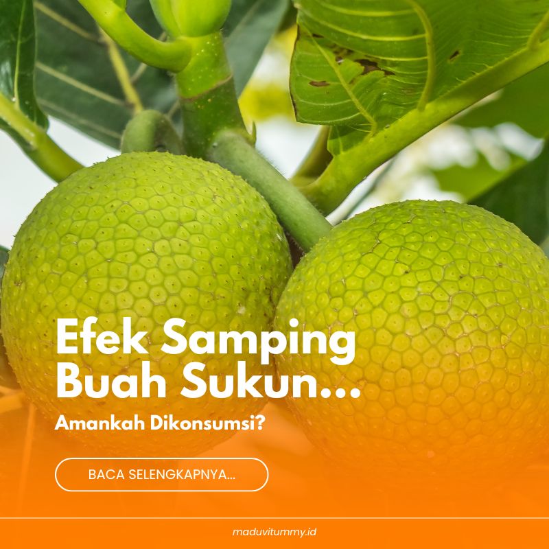 vitummy - Madu Vitummy 5 efek samping buah sukun