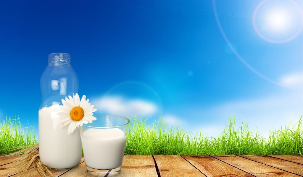 Manfaat susu prebiotik