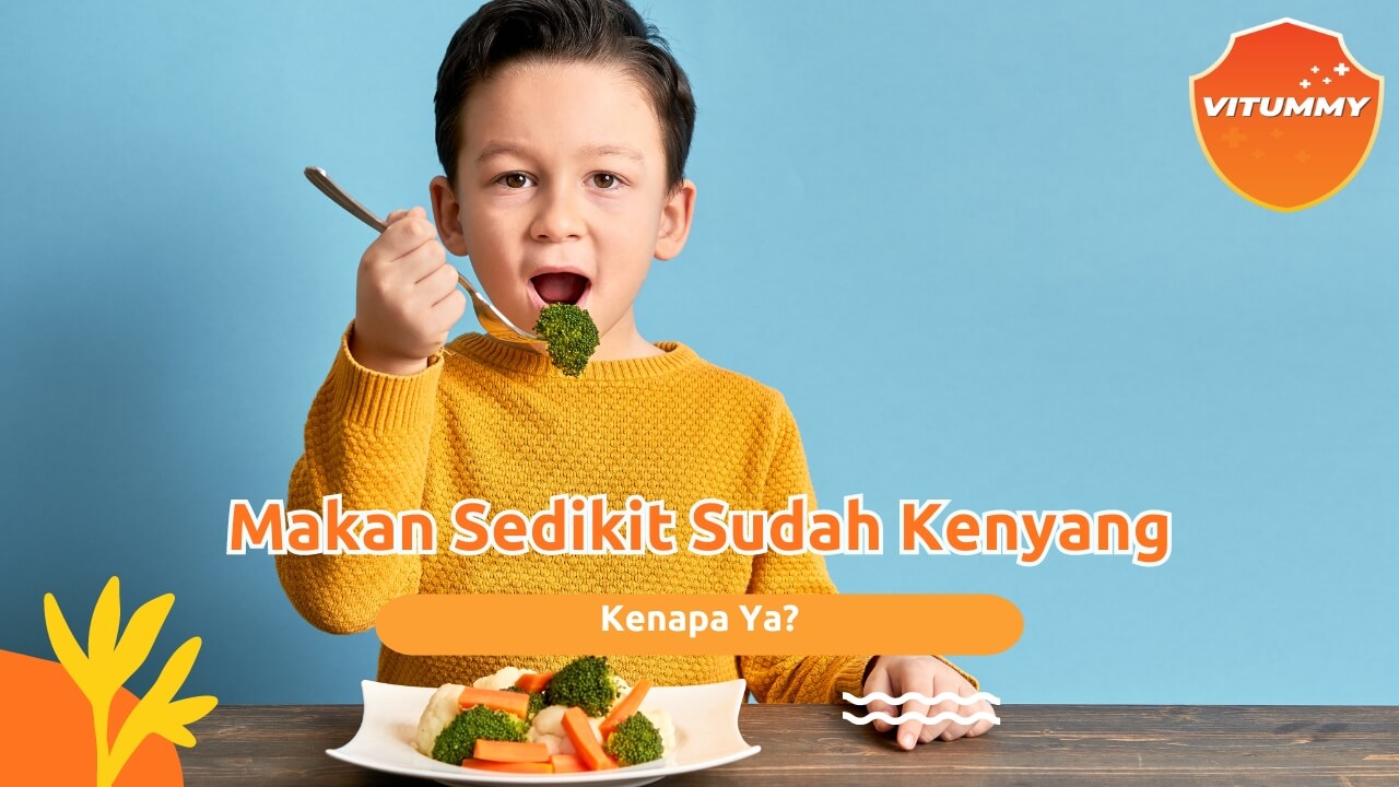 Cara Mengatasi Makan Sedikit Sudah Kenyang